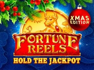 Fortune Reels Xmas screenshot